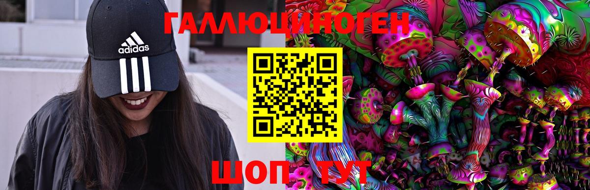 Тулун  Псилоцибиновые грибы Psilocybe  Вход с VPN  Псилоцибиновые грибы Magic Shrooms 